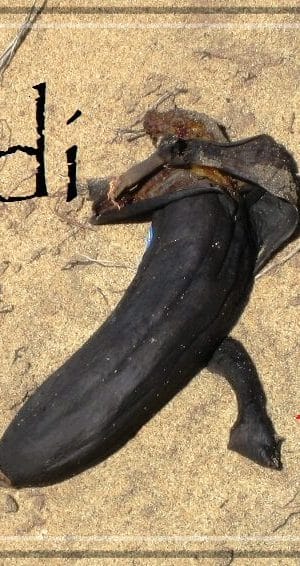 SnApSh0ts 3 (Saldi 2011)